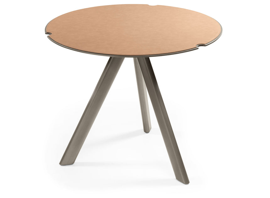 Twiggy Coffee Table