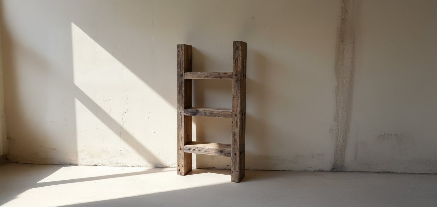 Diderot Bookshelf