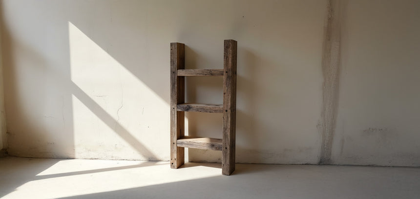Diderot Bookshelf
