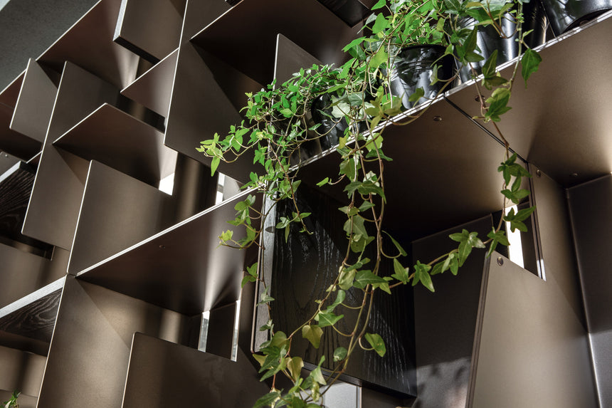 Hong Kong Bookcase