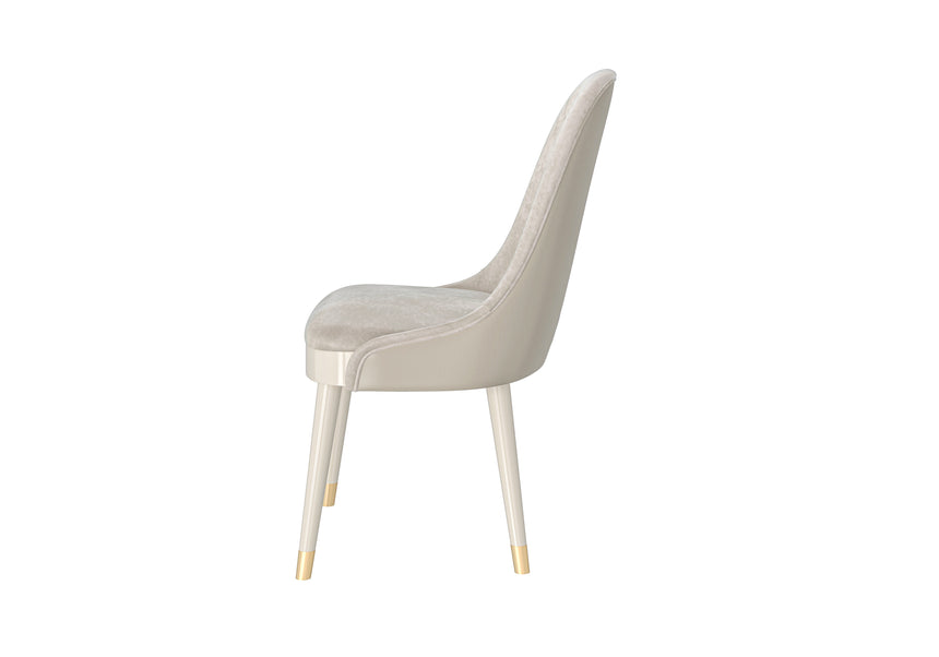 Modern Dining Chair