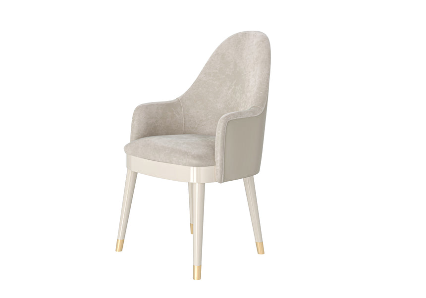 Modern Dining Chair with Armrests