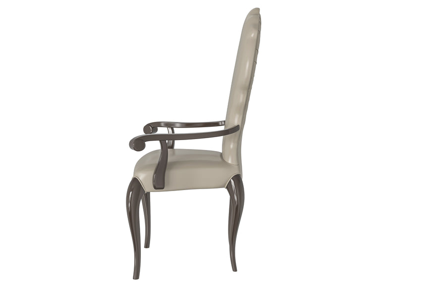 Sculptural Backrest Chair with Armrests