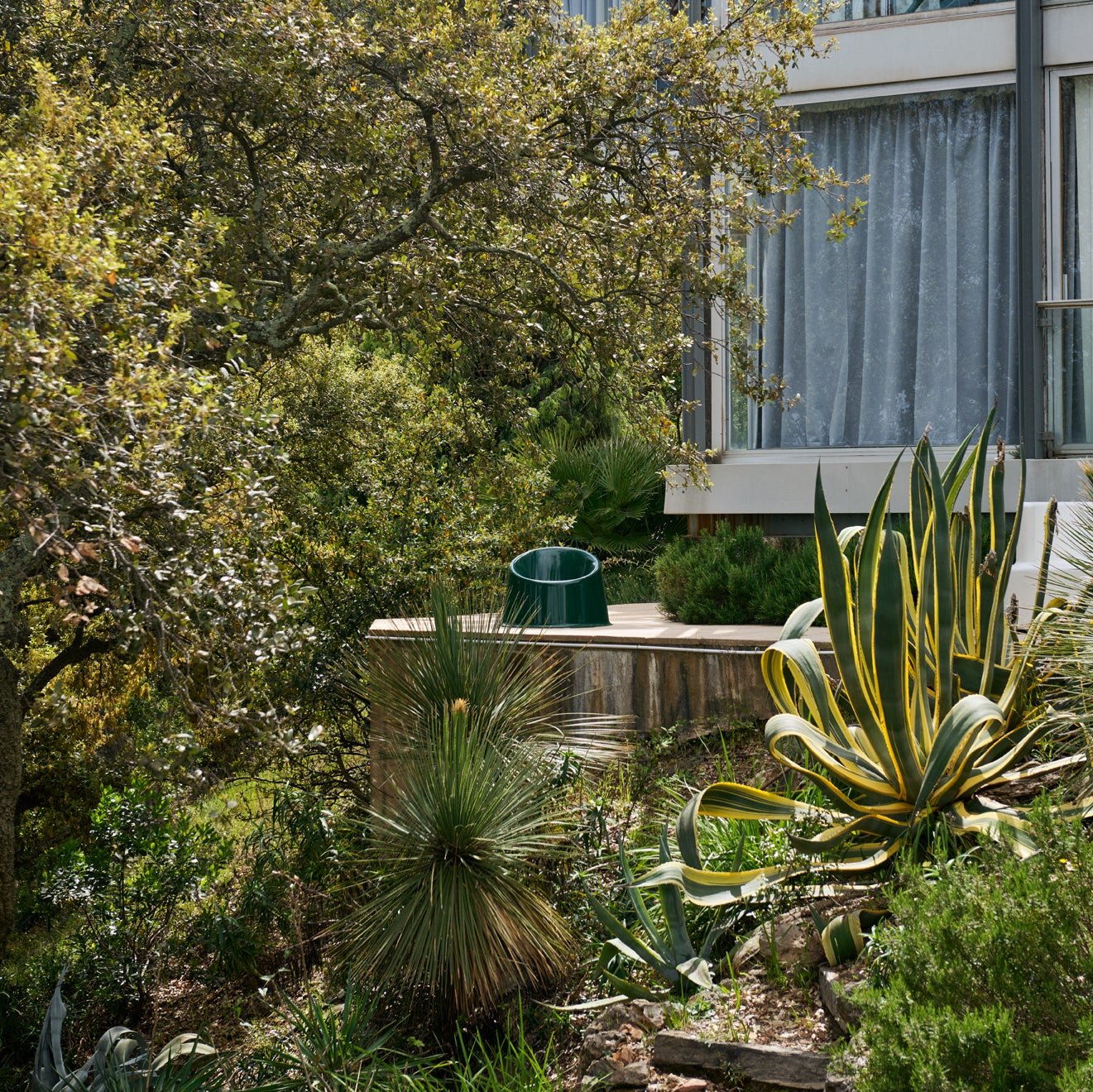 Panto Pop Dark Green