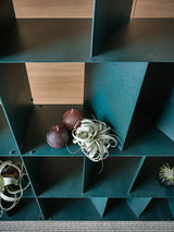 Rocky Bookshelf