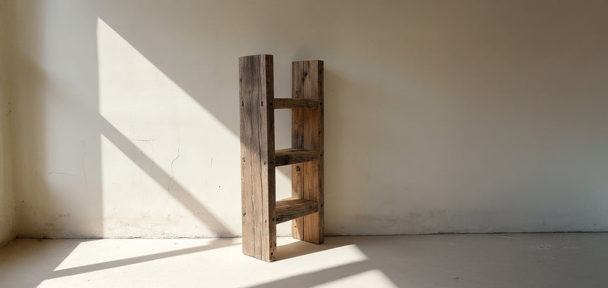 Diderot Bookshelf