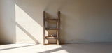 Diderot Bookshelf