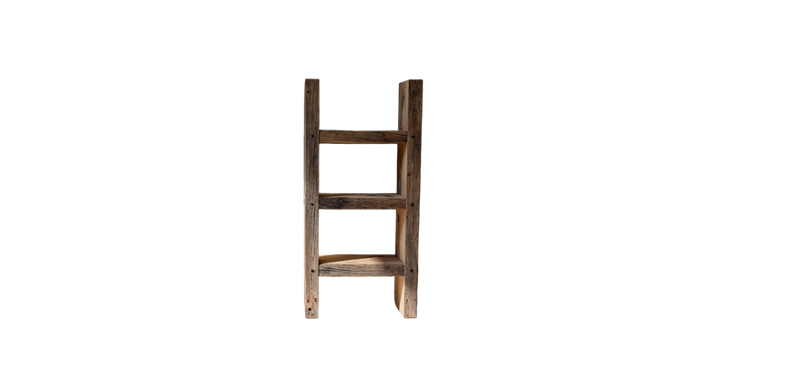 Diderot Bookshelf