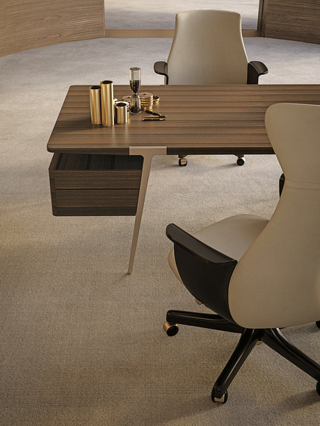 Domus Desk