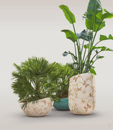 Artemisia Planter