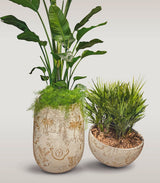 Artemisia Planter