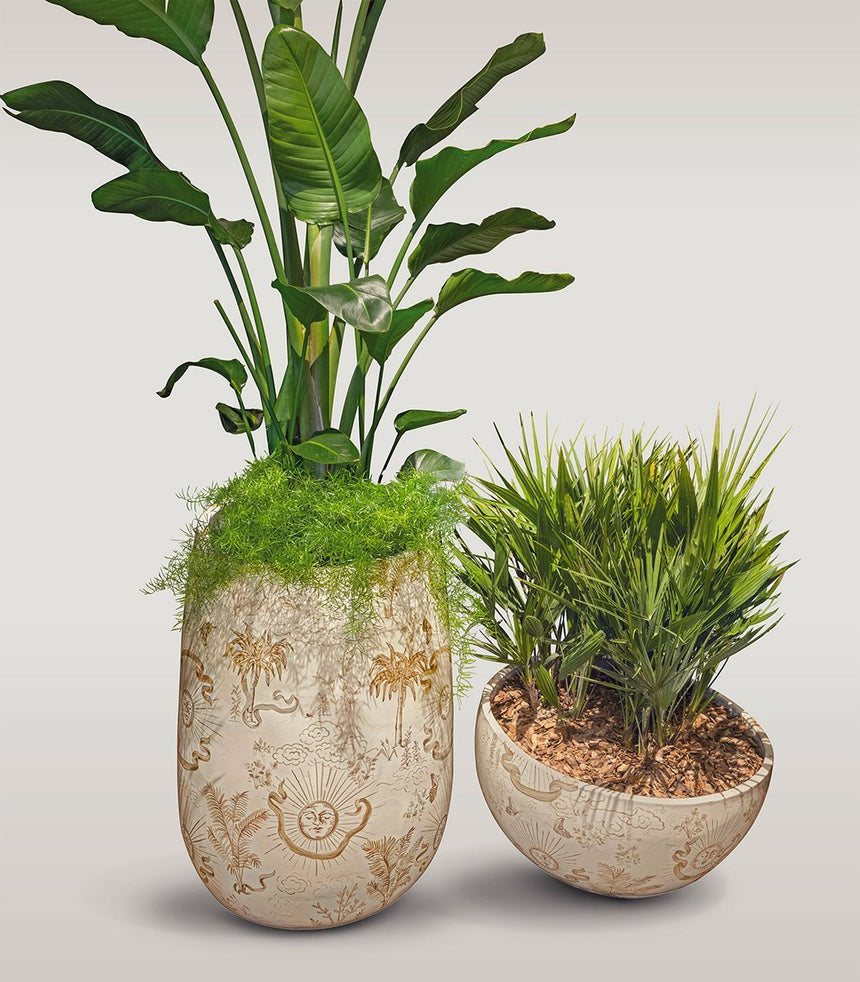 Artemisia Planter