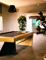 Seth Billiard Table