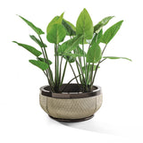 Godwin Cachepot