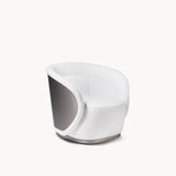 Shell Armchair
