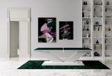Arena Table Tennis Table