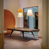 Blade Table Tennis Table