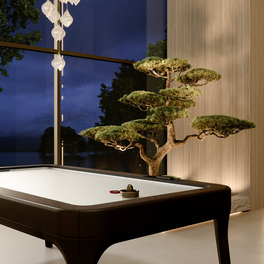 Blow Air Hockey Table