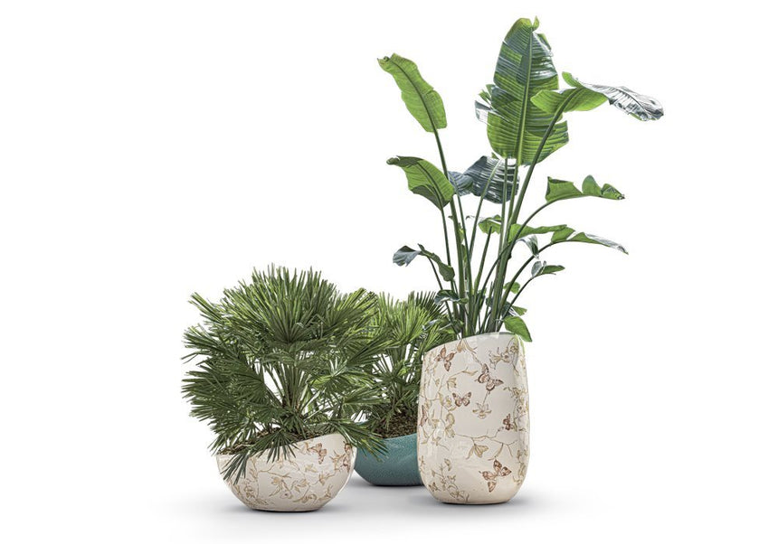Artemisia Planter