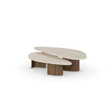 Agnes Coffee Table