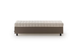 Domus Bench