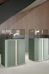 Zenit Vitrine